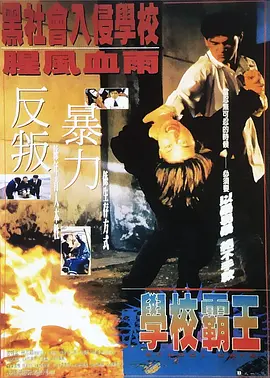 国内精品久久久久激情影院