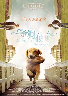 一级精品视频